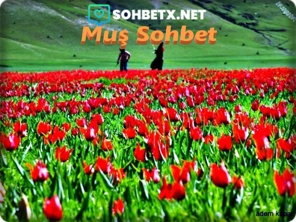 Muş Sohbet