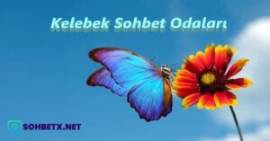Kelebek Sohbet Odaları